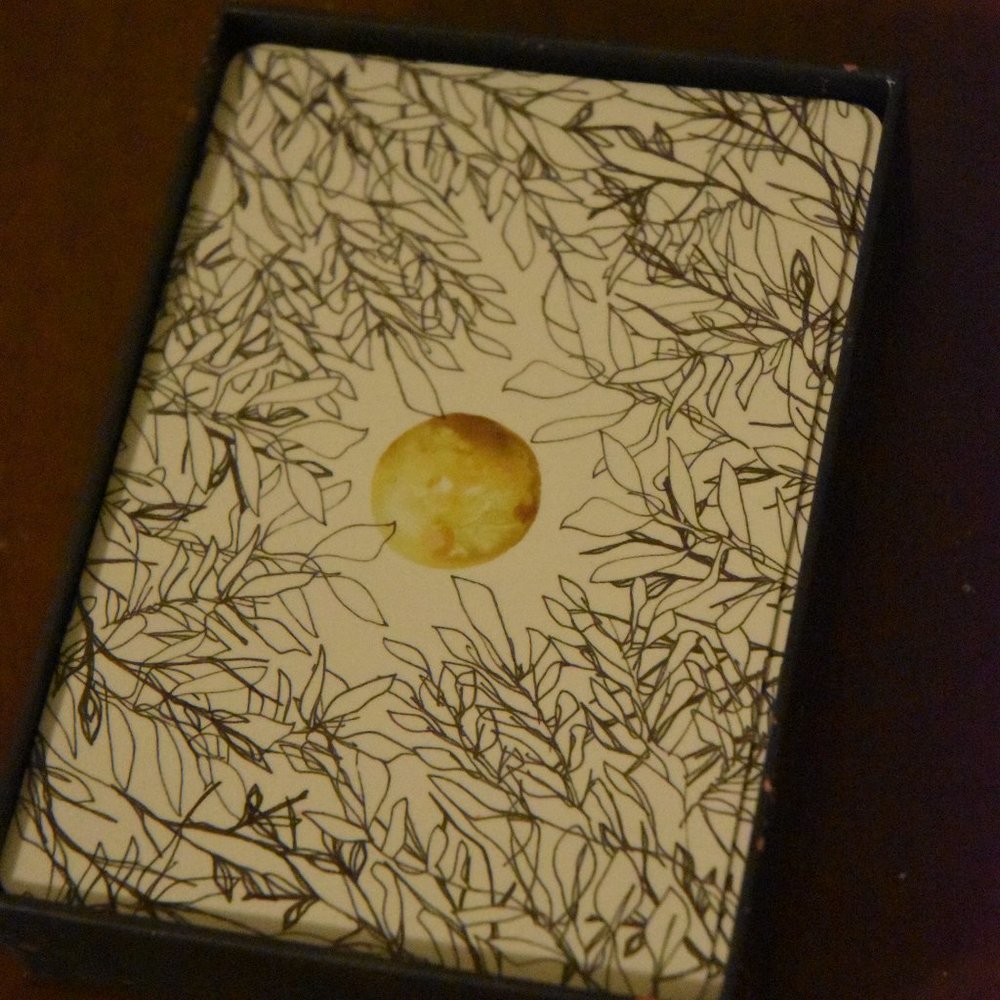 3/$15🍁The universe has your back | Deck + Guidebook - Picture 3 of 4